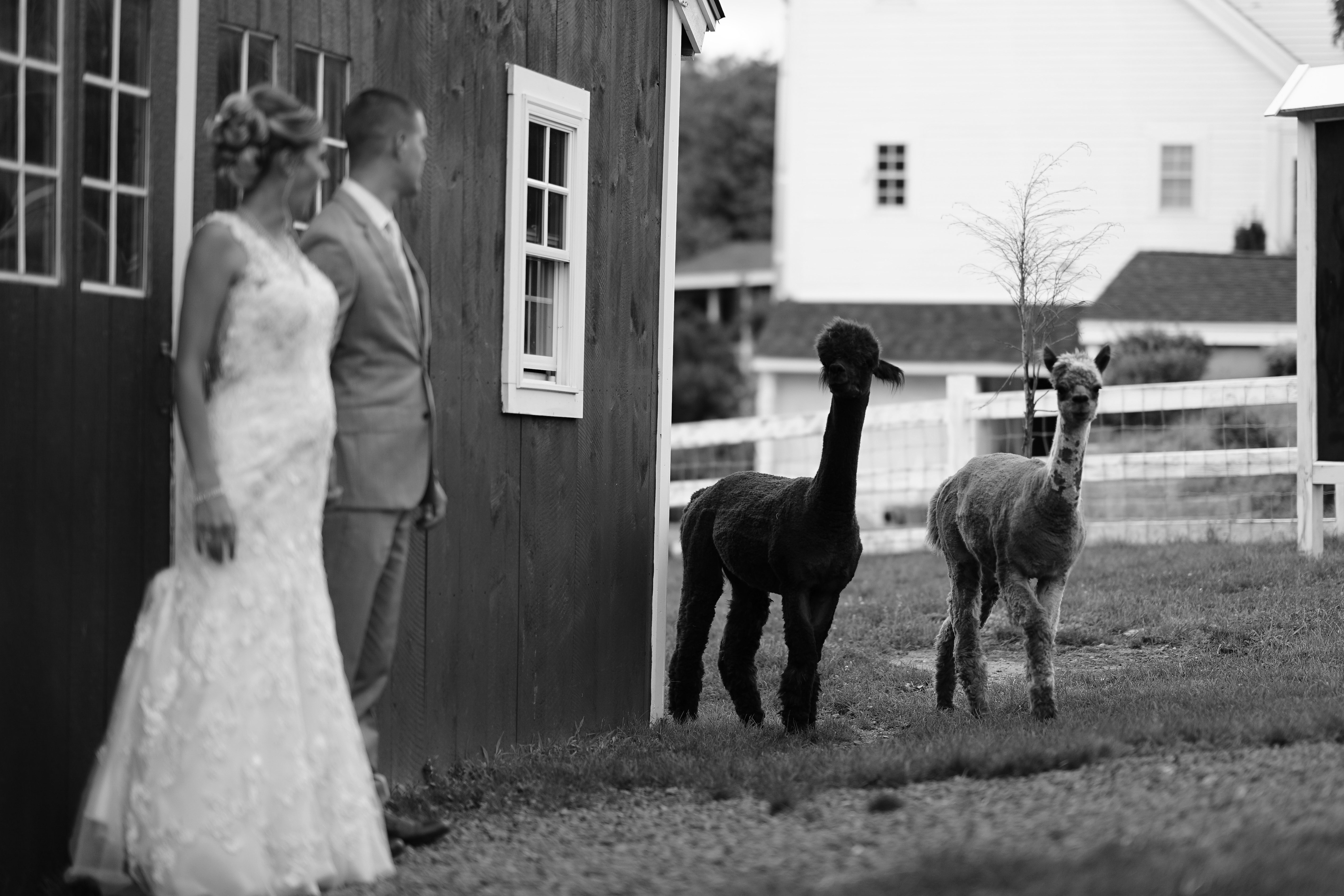 Newport RI Wedding Photographer