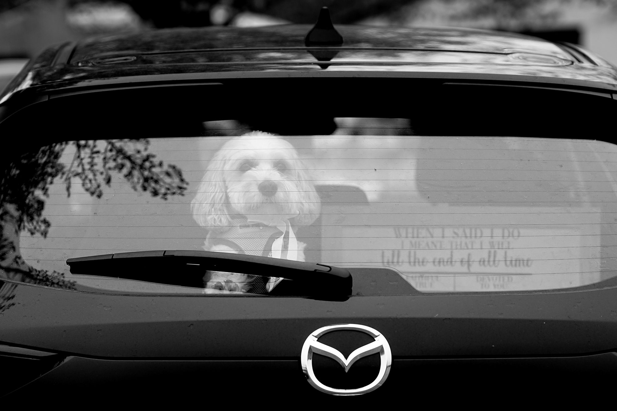 Newport RI Wedding Photographer