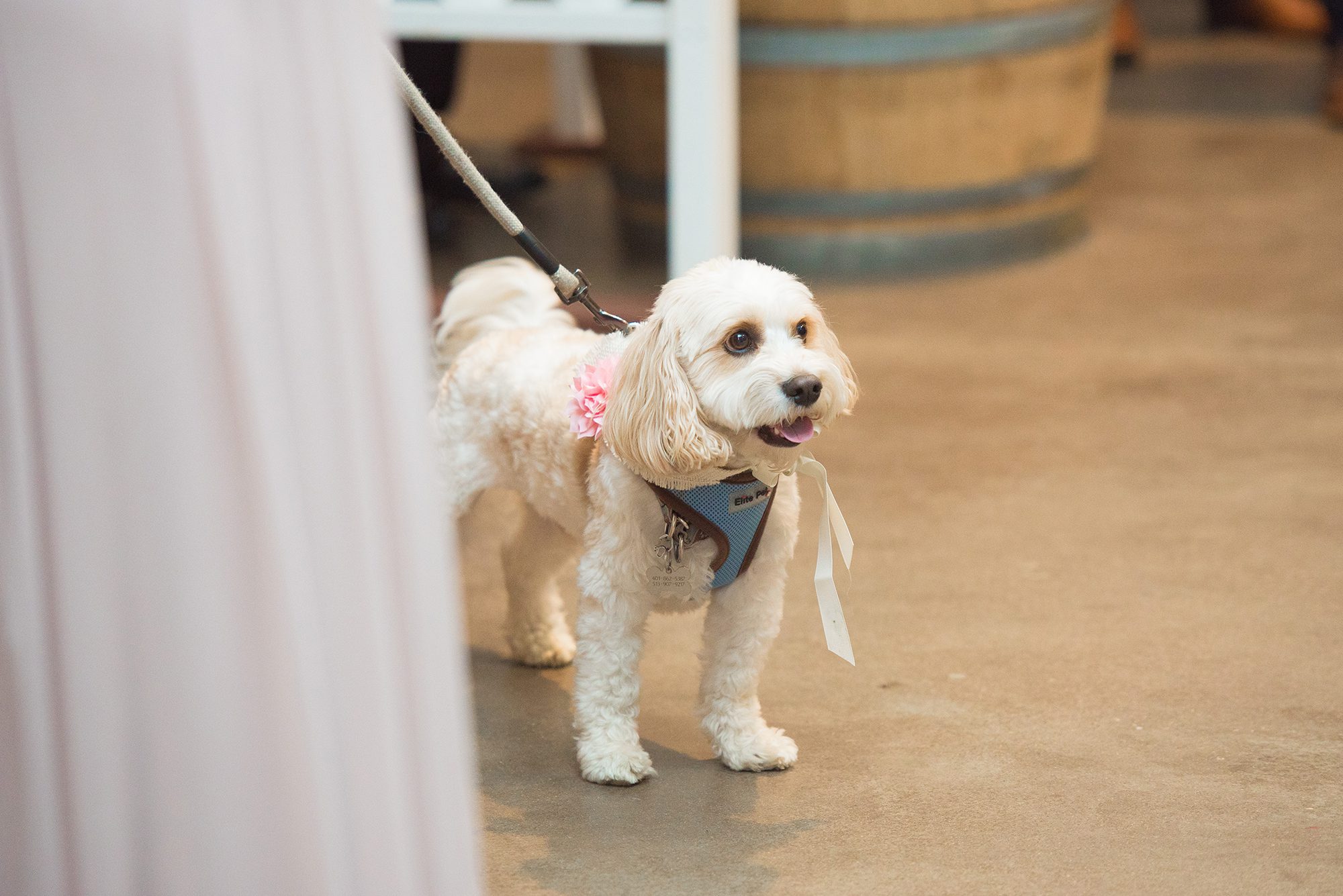 Newport RI Wedding Photographer